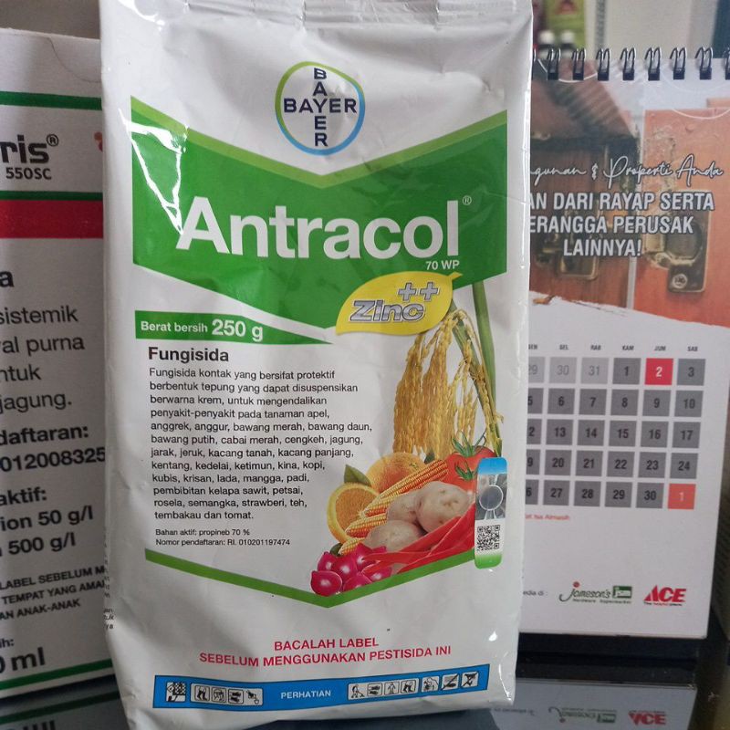 Fungisida Antracol 250 Gram