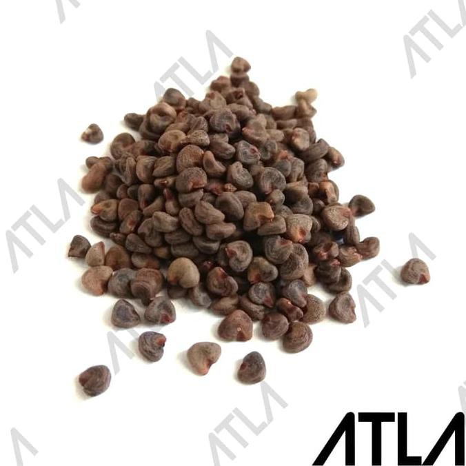 Benih Bunga Rosella Ungu Bibit Teh Herbal Biji Tanaman Roselle Refill