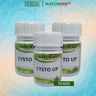 NATURINDO OBAT HERBAL PASCA SAKIT KANKER NATURINDO CYSTO UP BABAKAN