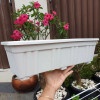 POT PANJANG ALPEN 50 pot segi panjang pot bunga pot murah pot bagus