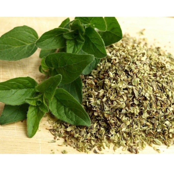 

Oregano