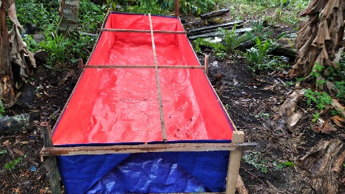 Terpal Kolam Ikan 300x100x50 Tyepe A5 Korea Super  Kualiti  Kolam Ikan Lele