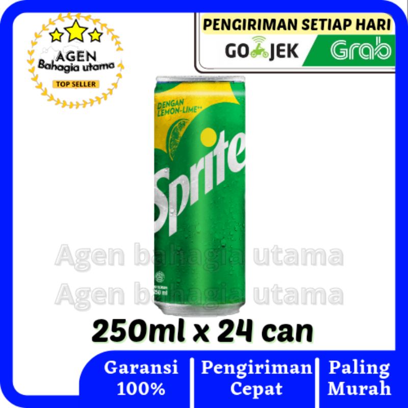 

Sprite kaleng | Sprite lemon 250ML 1 karton (24can)