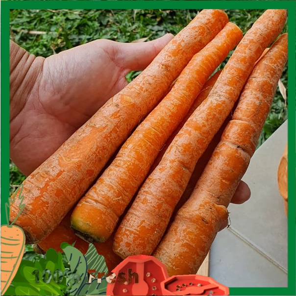 

Wortel Lokal 500gr (happy harvest)