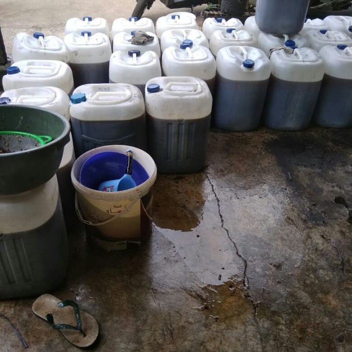 

Ge02G Madu Asli Murni Hutan Sialang Riau Sumatera 100% Tanpa Bahan Campuran Ds5G