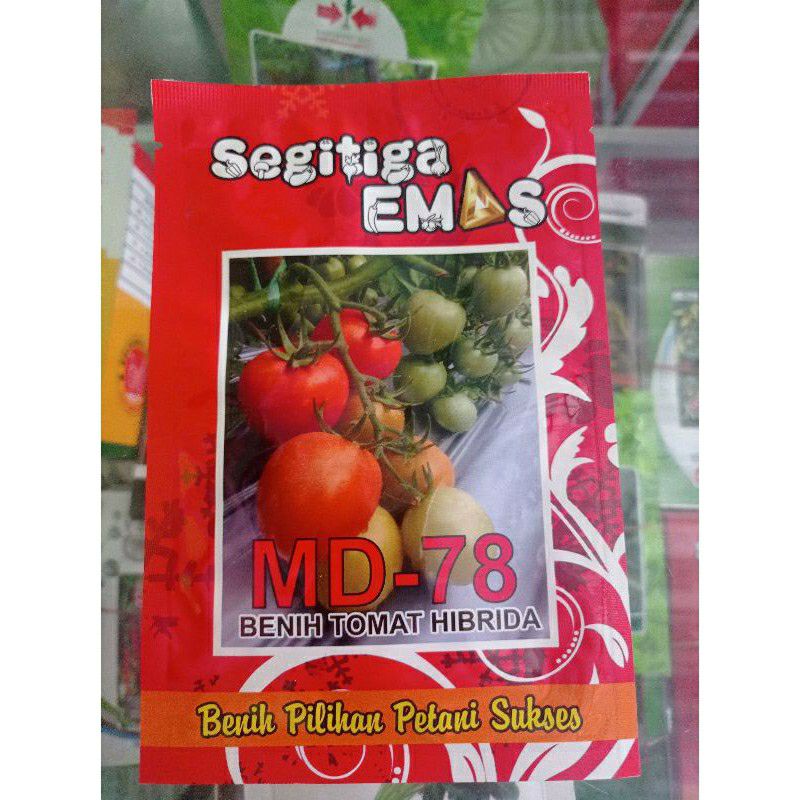 Benih tomat Hibrida MD-78 (5 gr)