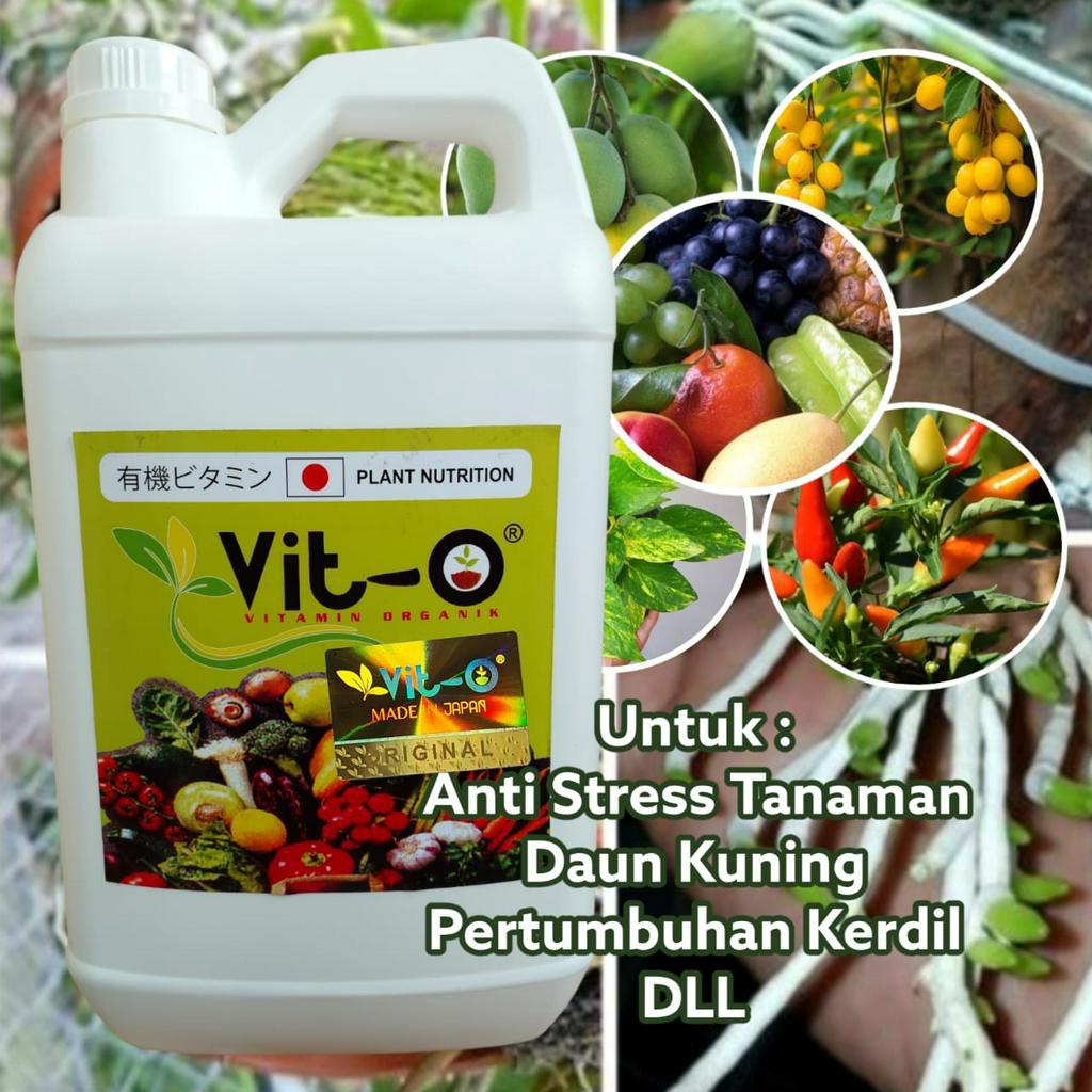 Pupuk Vit O Bahan Organik Plant Nutrition 5 Liter Untuk Semua Tanaman