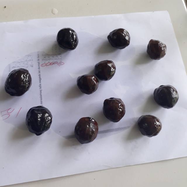 Muncang Adu Paket Kojo Top