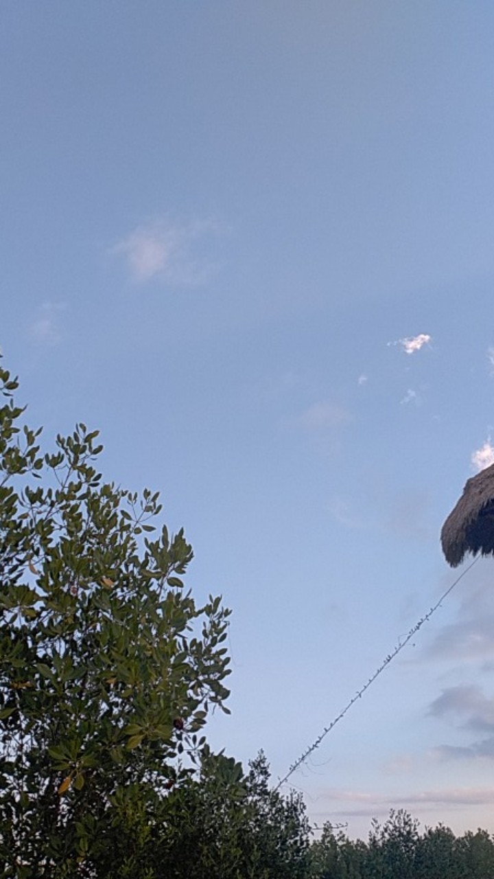 Yoshikawa Tempat Tissue / Kotak Tisu Persegi 200 Lembar Tissue Box