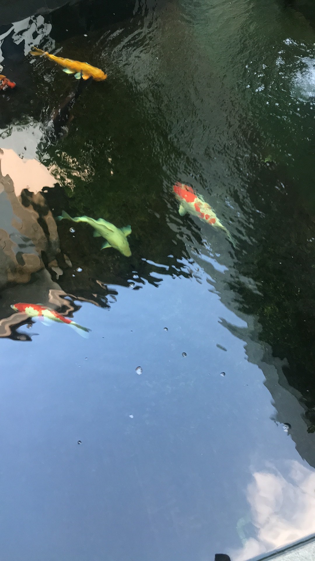 Pisau Dapur Set Kitchen Knife Set Alat Dapur Set Gift Premium 7 In 1