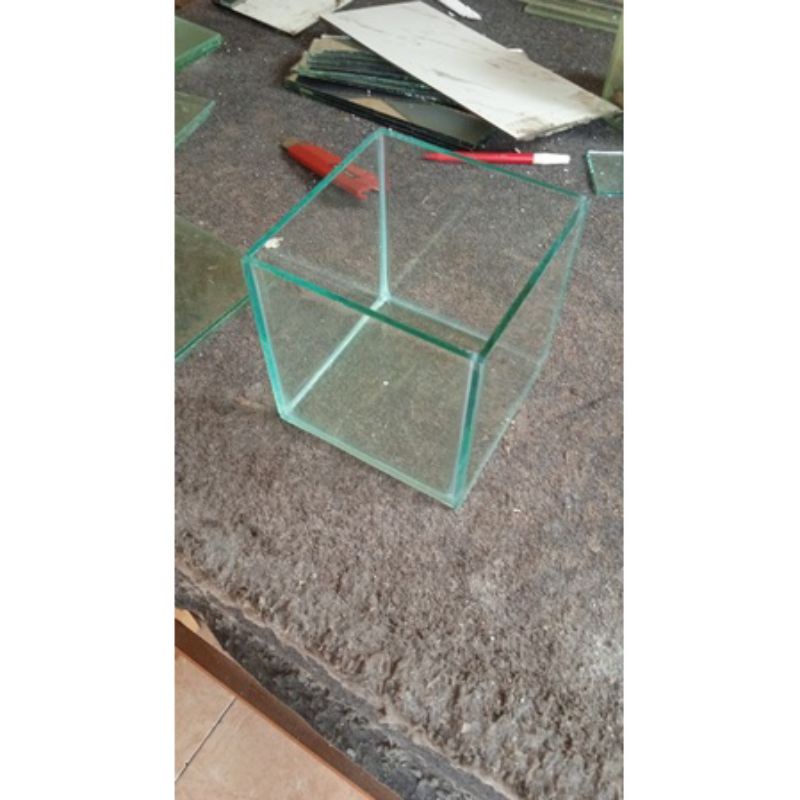 Soliter cupang soliter