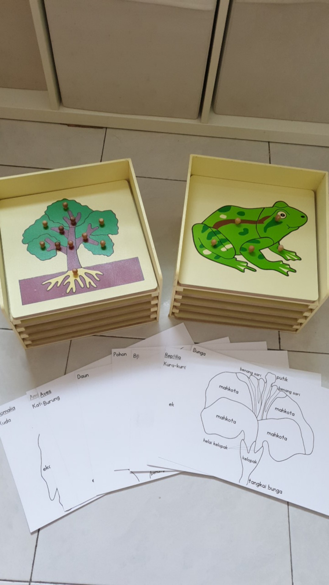 Zoology Set  Puzzle (5pc+cabinet+printable)  / Puzzle Botany Full Set (5pc+cabinet)