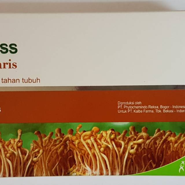 H2 Cordyceps Militaris blister isi 10 kapsul