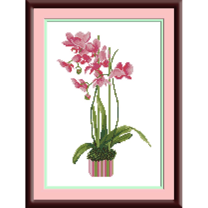 paket kristik 40707 - bunga