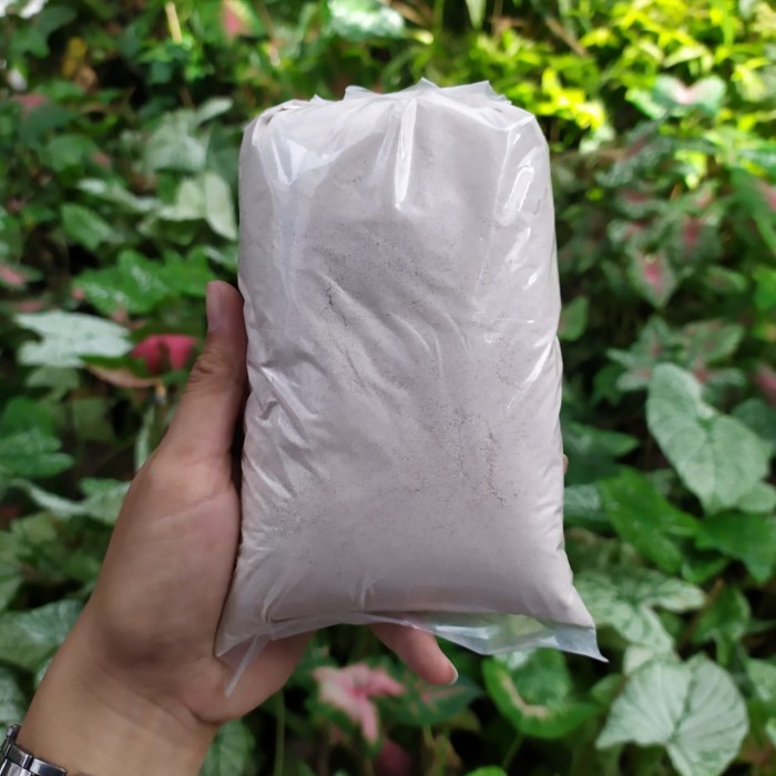 Jual Kapur Dolomit 1 Kg | Shopee Indonesia