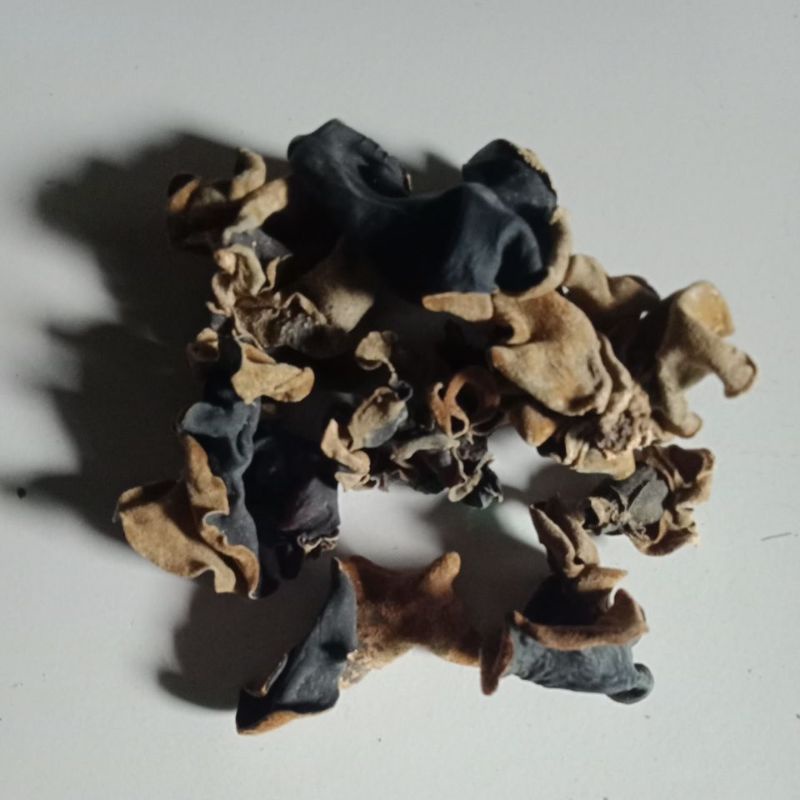 

Jamur Kuping Kering Termurah WOOD EAR DRIED
