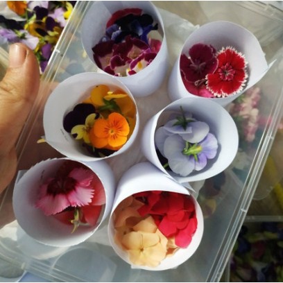 

TERMURAH MIX EDIBLE FLOWER