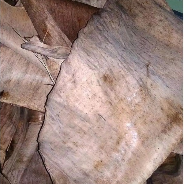 Daun pisang kering kalaras 100gr media jangkrik dan ikan cupang