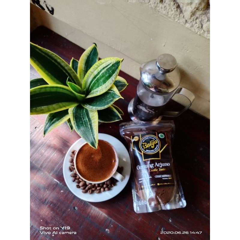 

Balija robusta gn arjuno