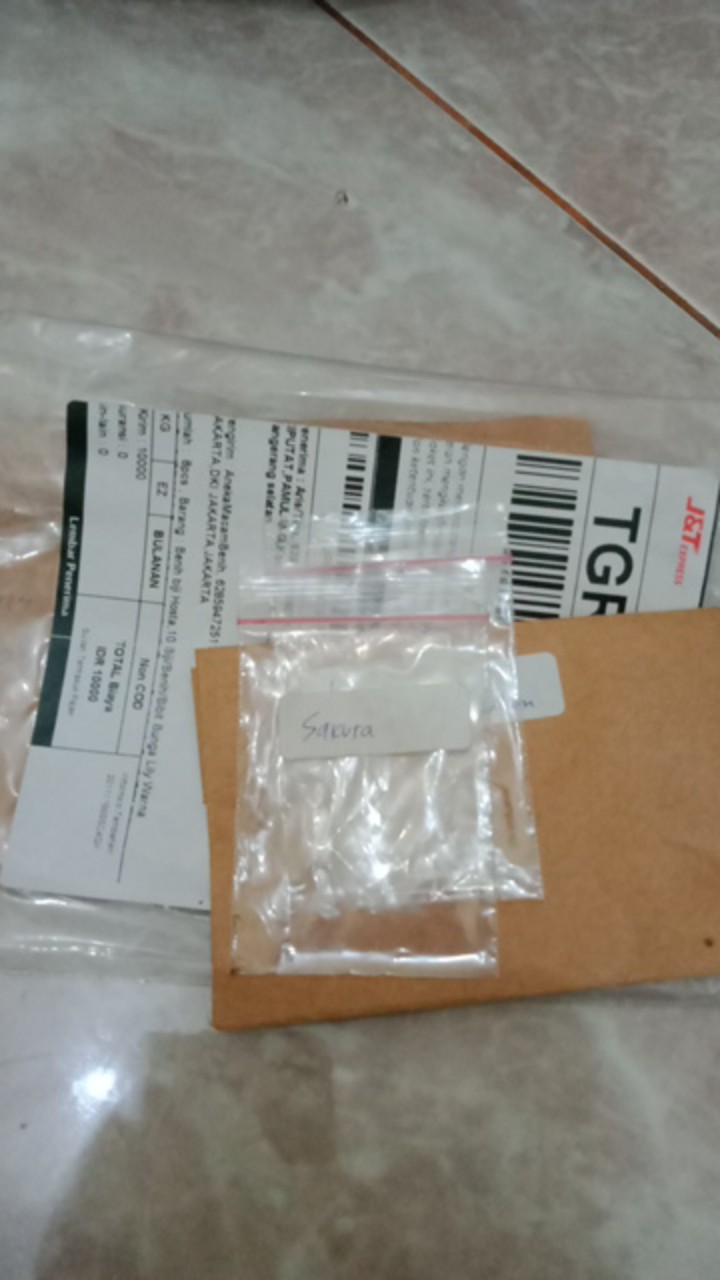 Benih/biji/bibit Bunga Sakura Mini