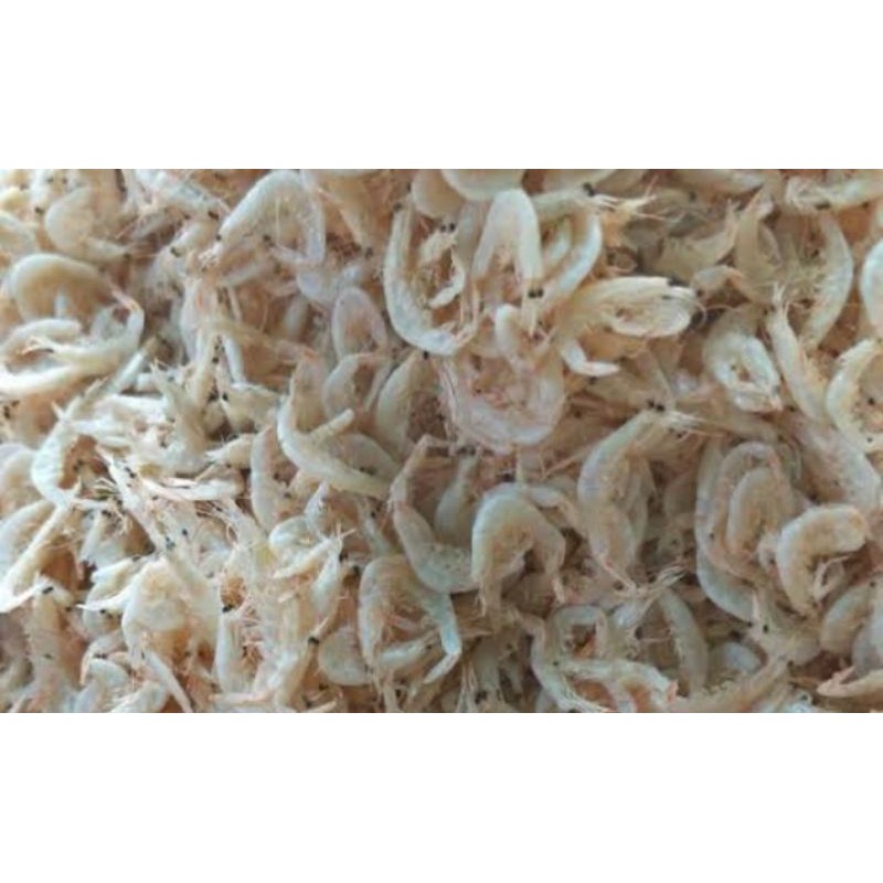 

Udang Rebon Kering Asin / 100gr