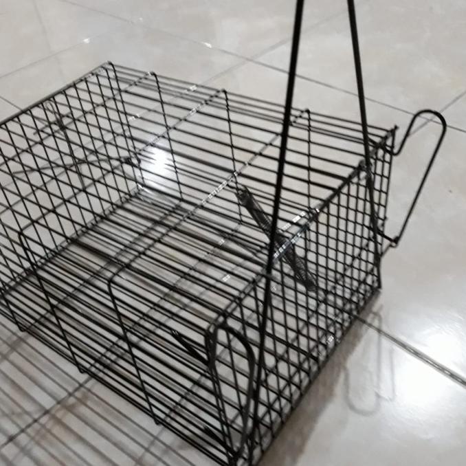 Jebakan tikus perangkap tikus jepretan tikus kawat besar jumbo tebal