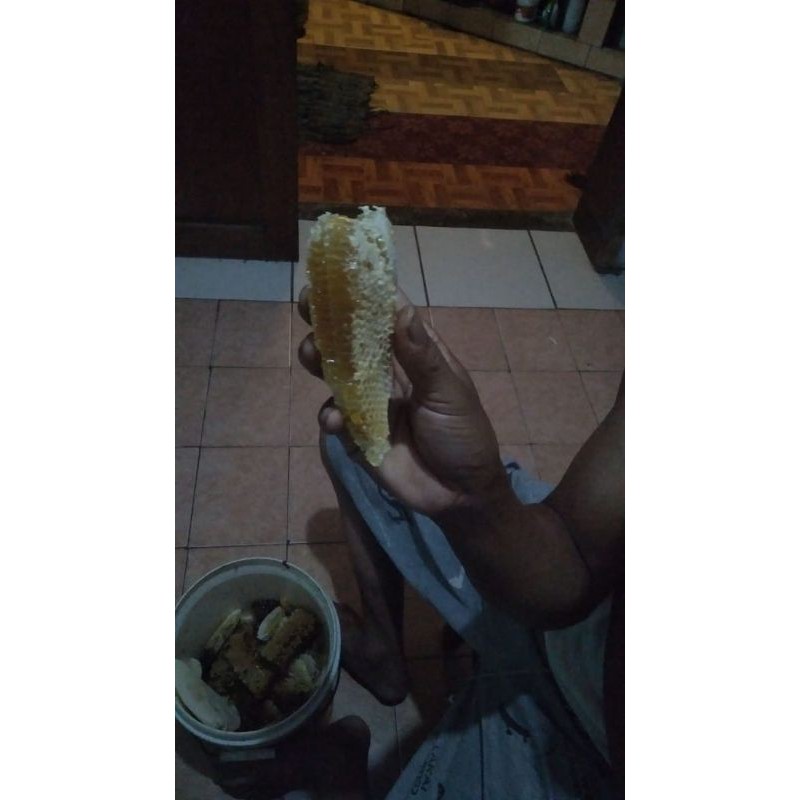 

madu asli gunung