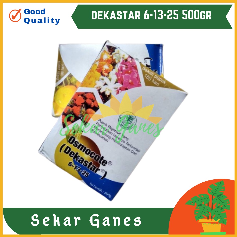 Sekarganes Ori Pupuk Osmocote Dekastar Plus 500 Gram Kemasan Pabrik Dekastar 13 13 13 6 13 25 17 11 10 500 Gram Dekastar Merah Dekastar Daun Seimbang Bunga Buah