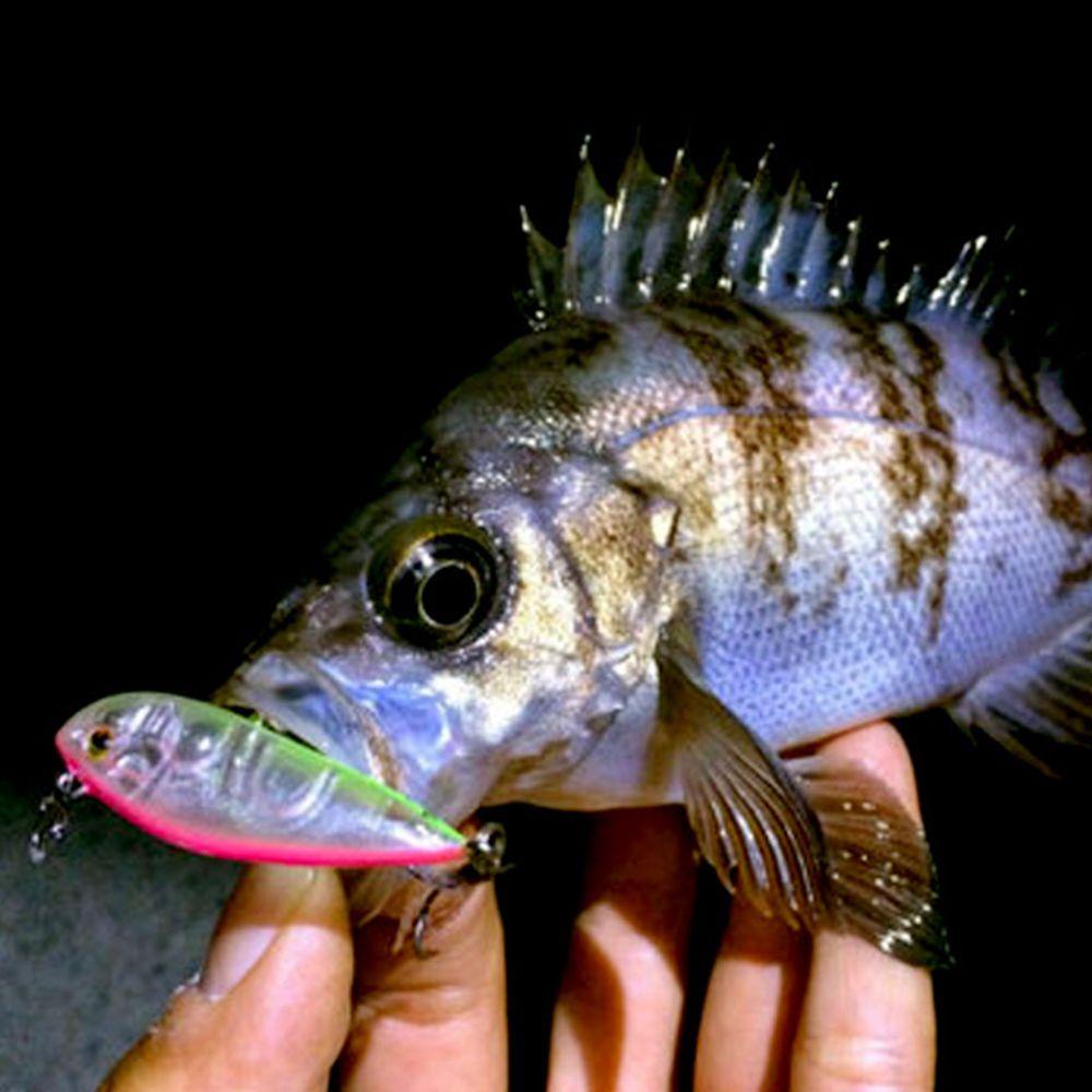 Top Pencil Baits Umpan Dengan Bola Baja Transparan Crankbaits Tackle Minnow Lures