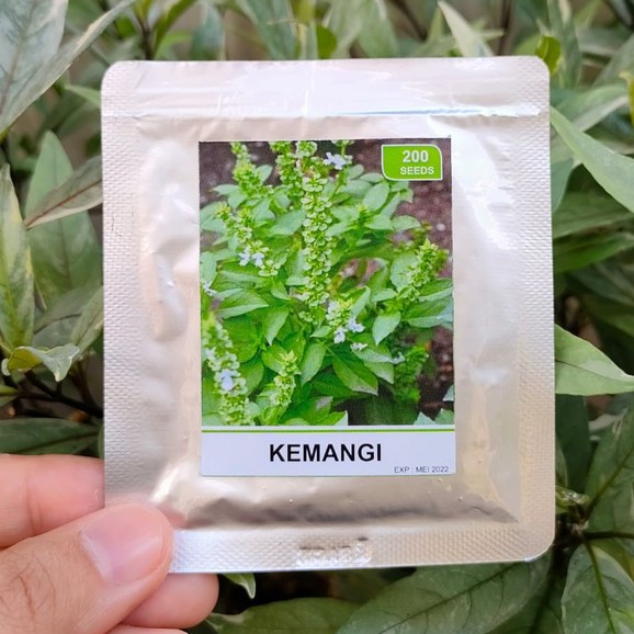 benih sayur - benih buah - benih sayuran - benih tomat - benih cabe - benih selada - benih bayam - benih terong - benih pakchoy -RS-Kemangi