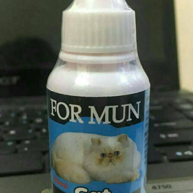 Obat kucing muntah For Mun