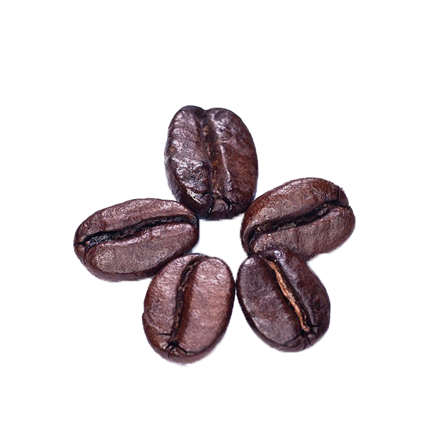 Jual Kacang Merah 1kg Kota Bandung Dapoer Canoli Tokopedia