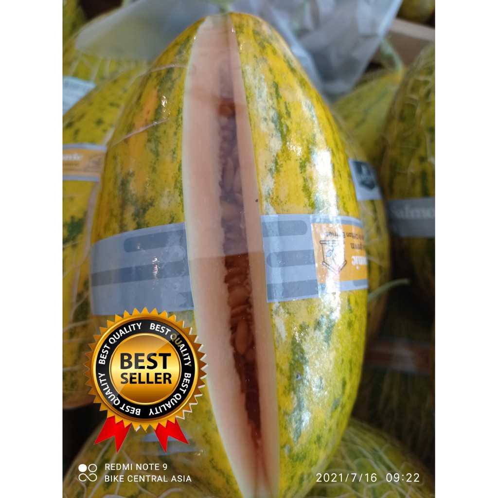 

BUAH MELON HYDRO SWEET SALMONY