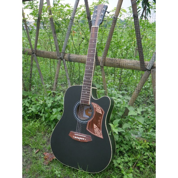 Gitar Akustik Cole Clark Custom Tanam Besi Gratis Packing Kayu