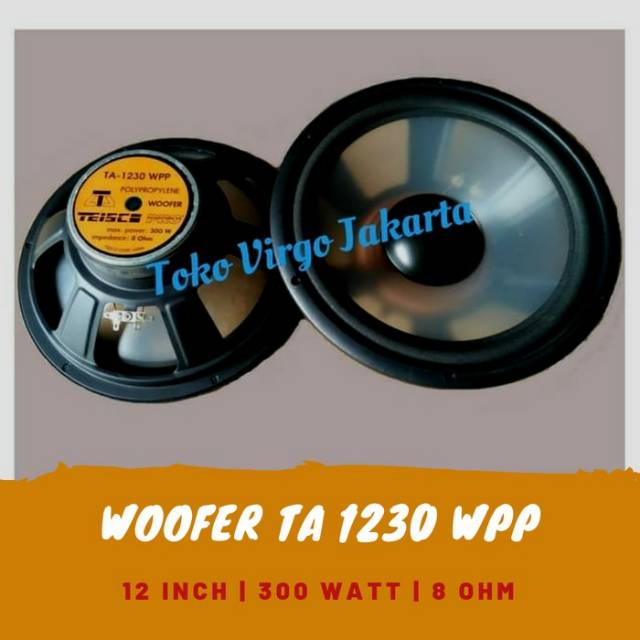 speaker 12 inch 300 watt