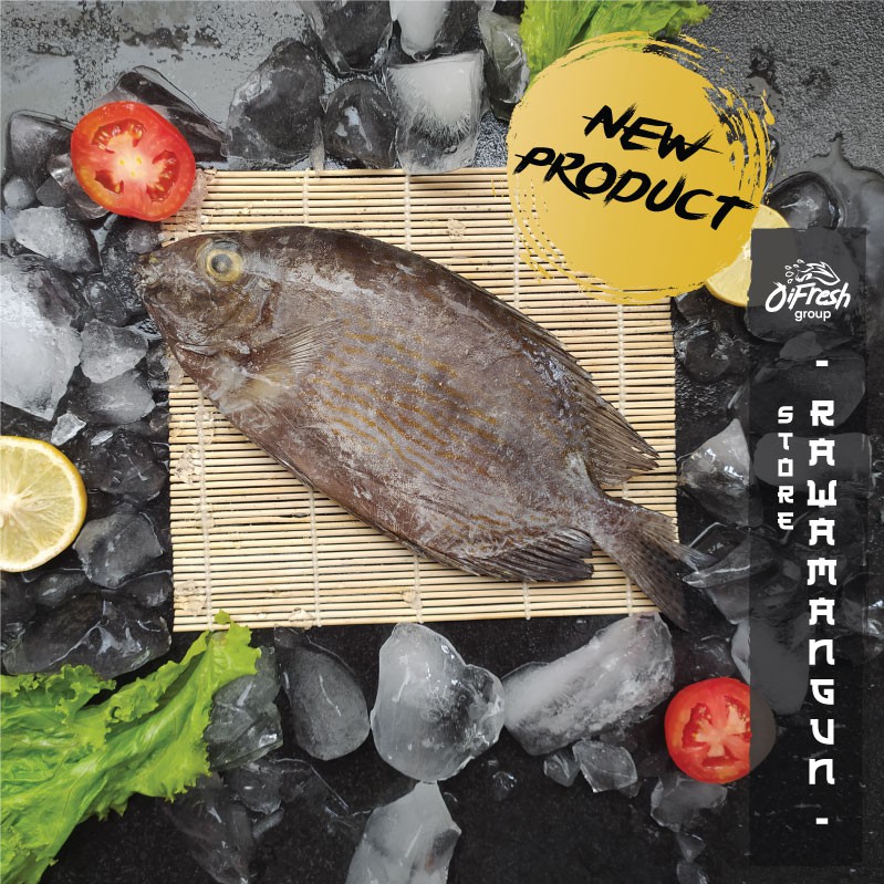 

Ikan Baronang STANDAR LOKAL Segar dan Bergaransi / Pack