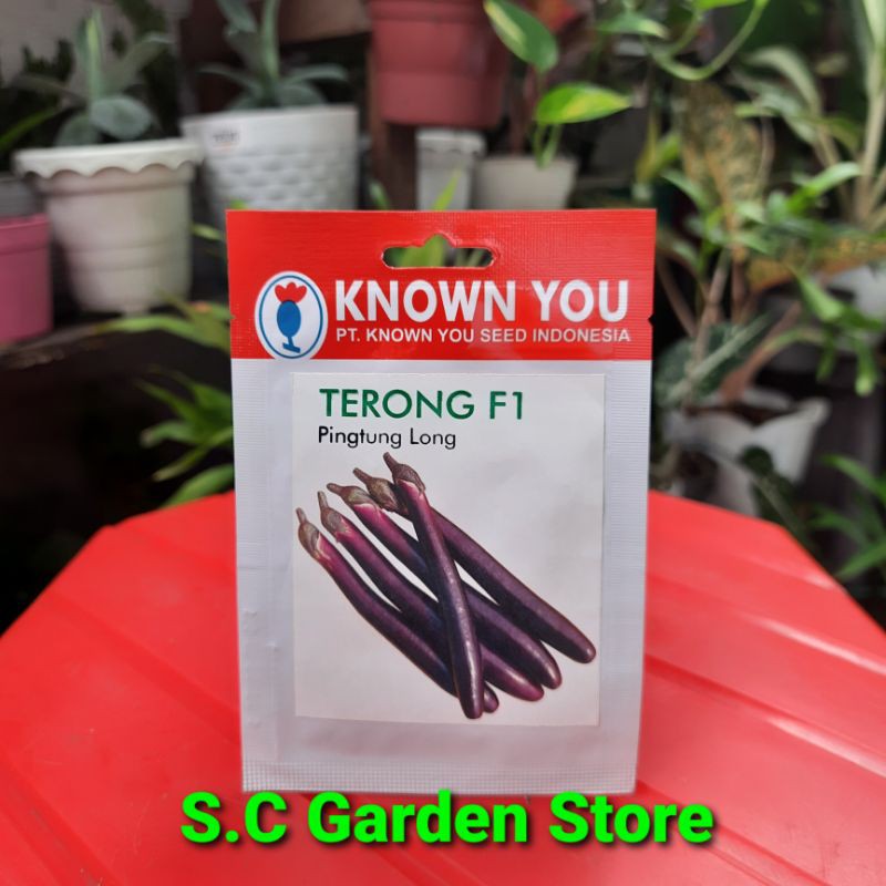 BENIH BIBIT TERONG F1 PINGTUNG LONG KNOWN YOU SEED