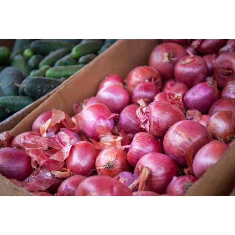 

bawang merah 100gr