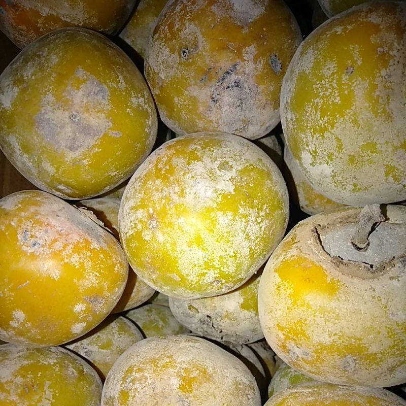 

Kesemek buah genit kilogram minim order 2 kilogram @