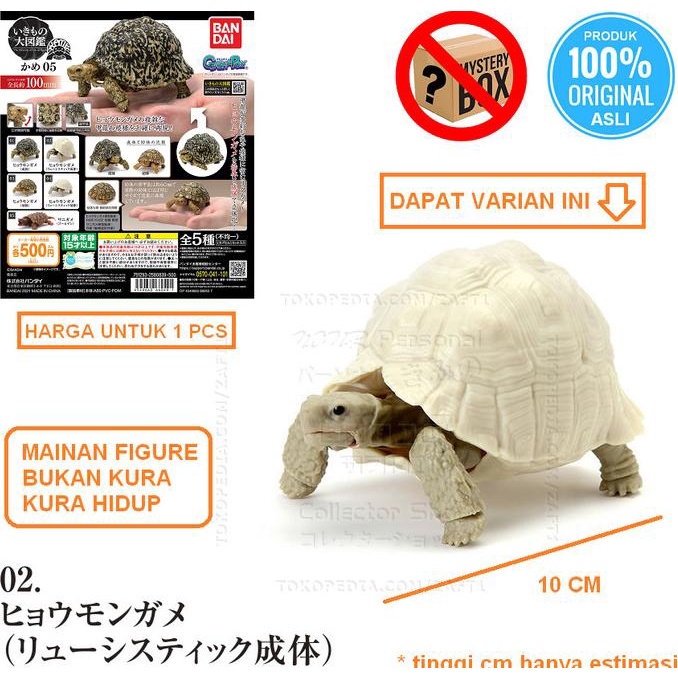 02 DEWASA LEOPARD LEUCISTIC TORTOISE Kame 05 Turtle Gashapon Gacha