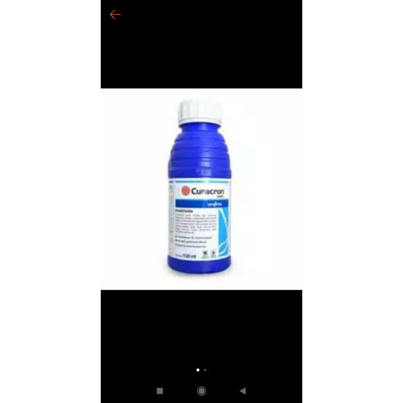 curacron insektisida
