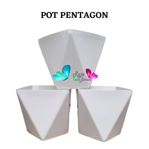 Pot Pentagon 20 Putih Pot Tabitha Diamond 20 25 Putih Pot Bunga Tanaman Tinggi Pot Diamond Tabitha Putih Pink 20 25 30 35 Grosir