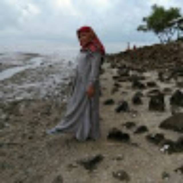 lannisahanumhasibuan87