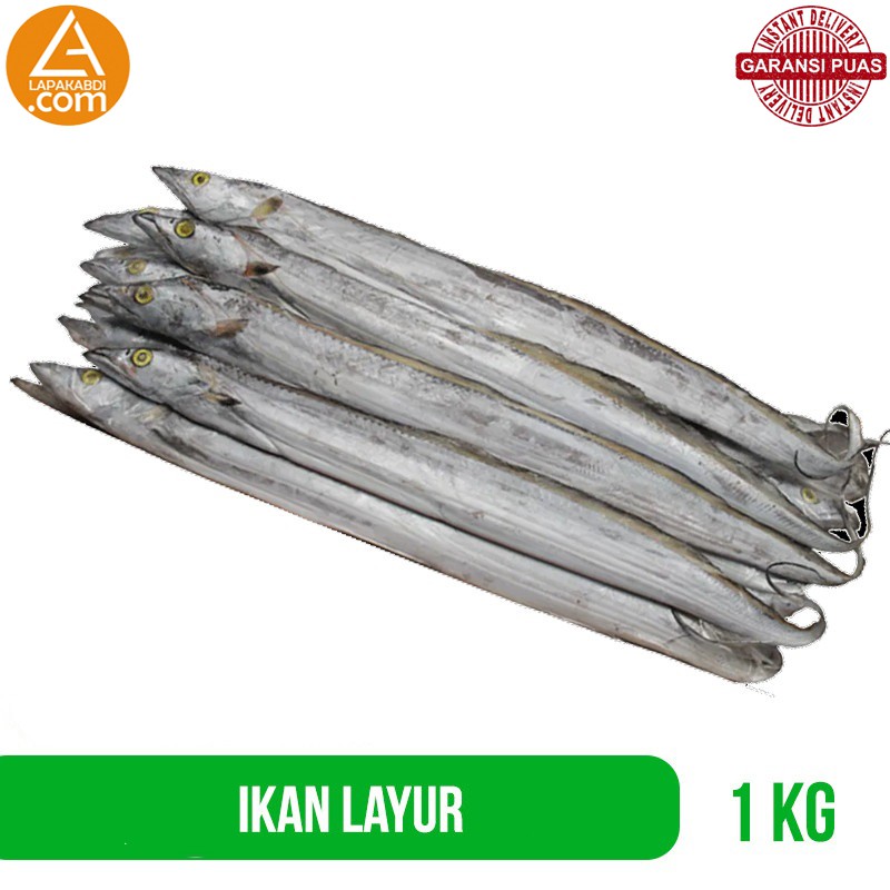 

Ikan Layur Hairtail 1 Kg Ikan Laut Seafood Segar Garansi Termurah