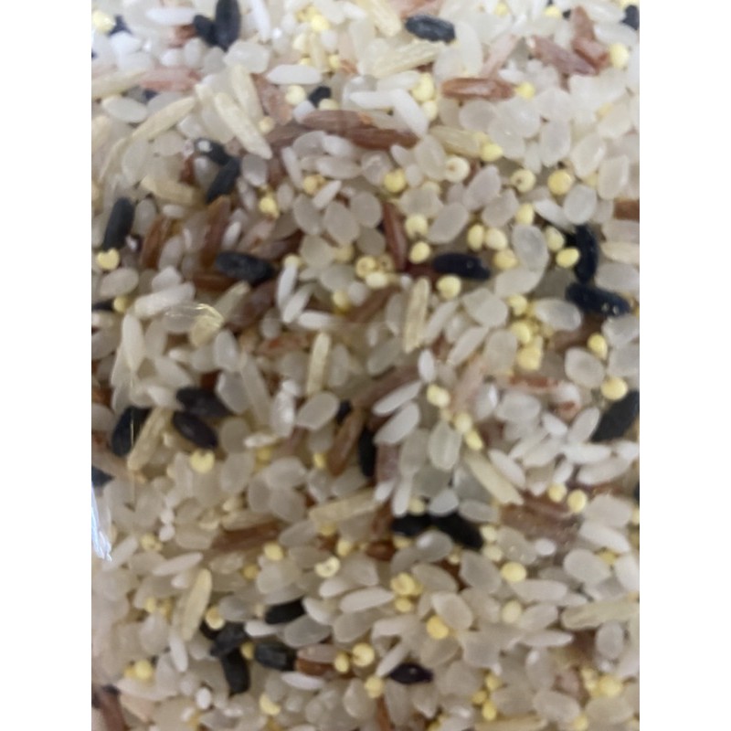 Organic Baby Mixed Rice 100gr