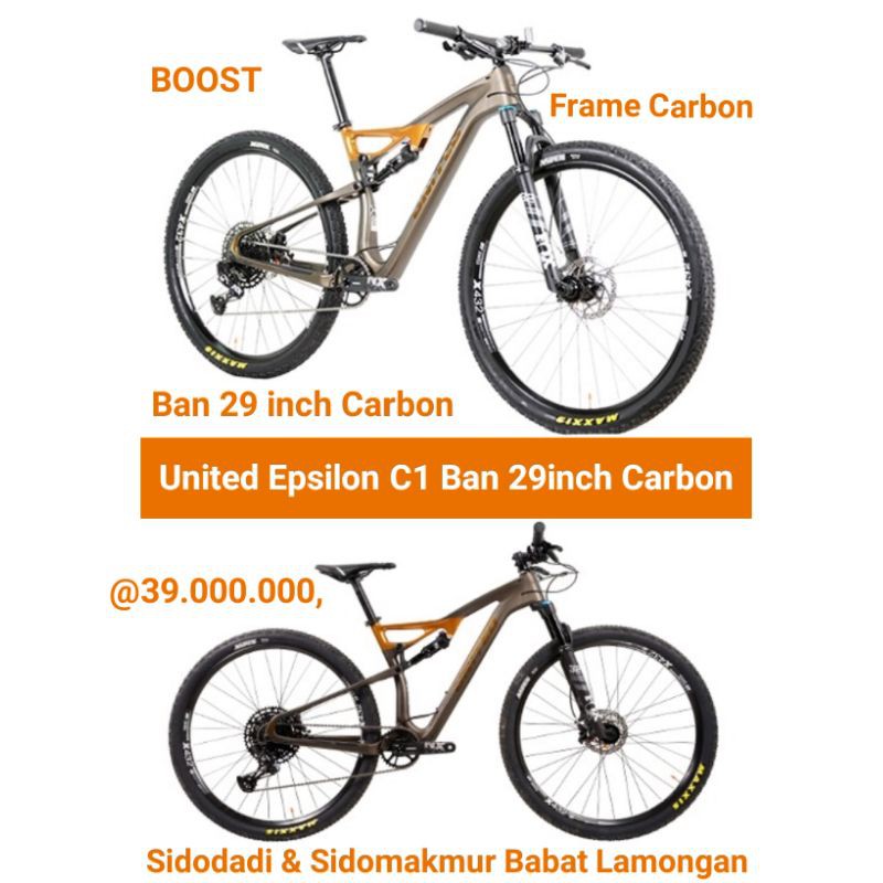Sepeda Mtb Epsilon C1 Ban 29 Carbon