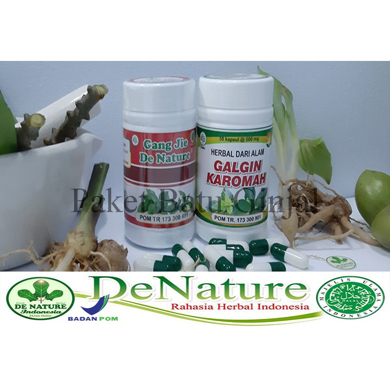 Obat Mujarab Batu Ginjal De Nature Gang Jie dan Galgin