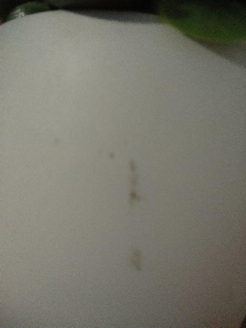 Set Bunga Plastik Aneka Daun Dengan Pot Plastik Smile Dinding