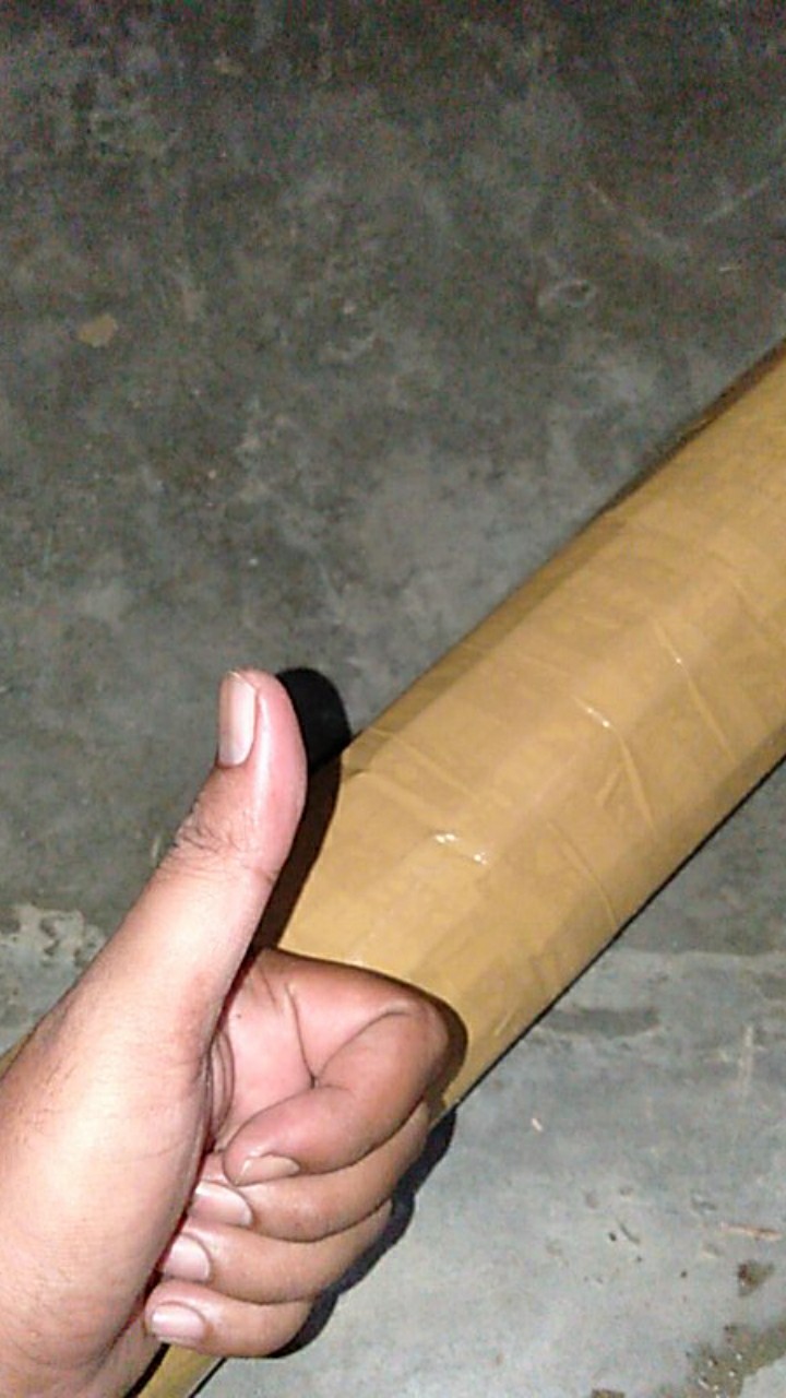 Bibit Bunga Kamboja Jepang Terbaru