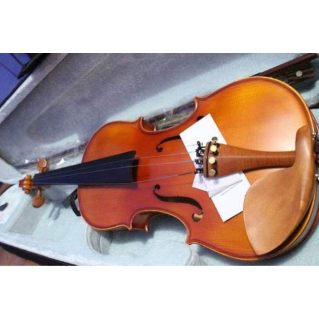 Violin Biola August 4/4 Spruce Maple
